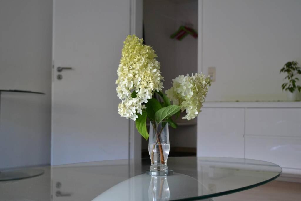 Ferienwohnung Stimmer ไกรน์เนา ภายนอก รูปภาพ